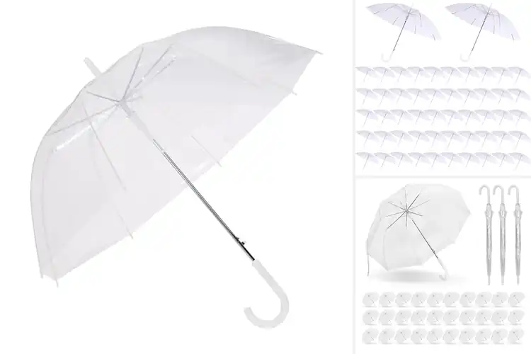 Detailed view of Best Clear Umbrellas: Stay Dry & Stylish on Rainy Adventures