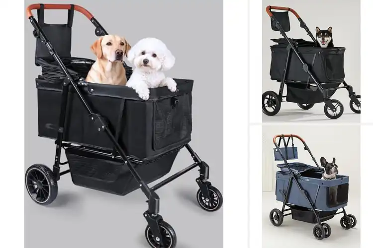 Detailed view of Best Dog Strollers for Large Dogs