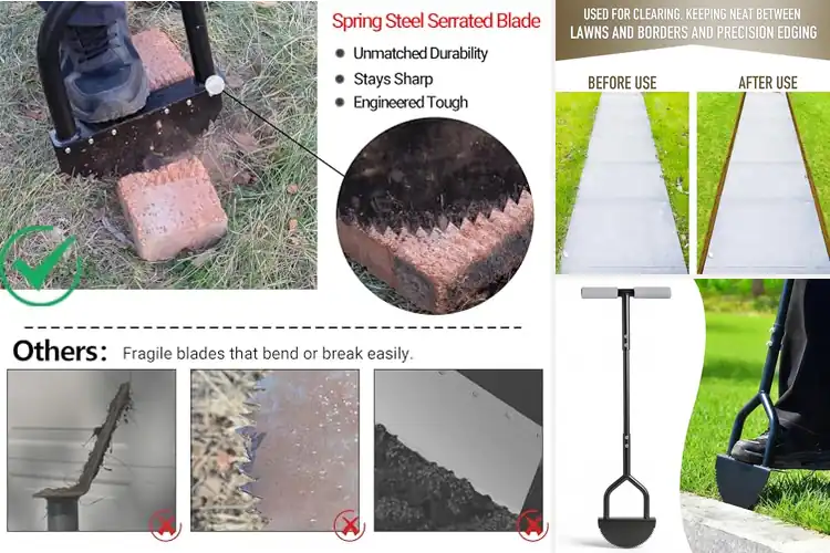 Detailed view of Best Edging Tools