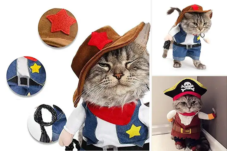 Detailed view of Best Funny Cat Costumes