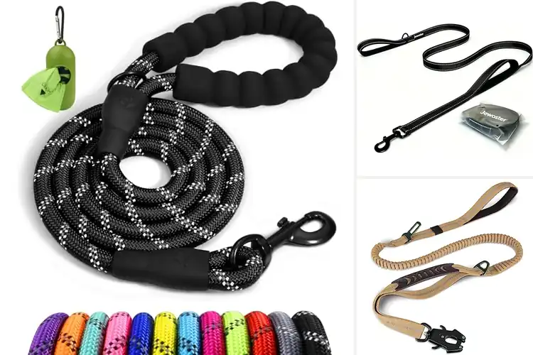 Detailed view of Best Heavy Duty Dog Leashes: Top 10 Picks for Safe Walks