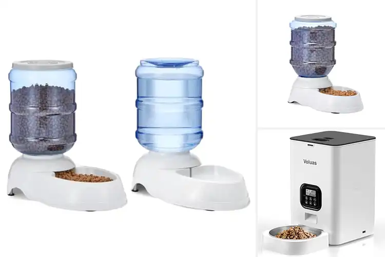 Detailed view of Best Pet Feeding Solutions: Make Mealtime Effortless