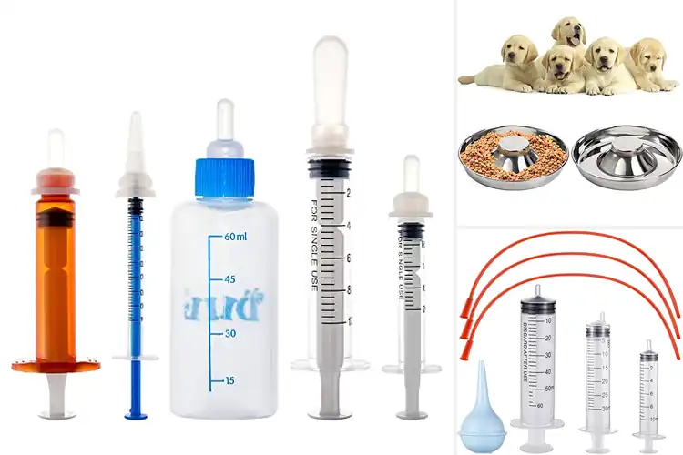 Detailed view of Best Puppy Feeding Supplies: Joyful Tools for Tiny Tummies