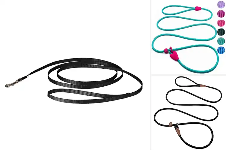 Detailed view of Best Puppy Training Leashes