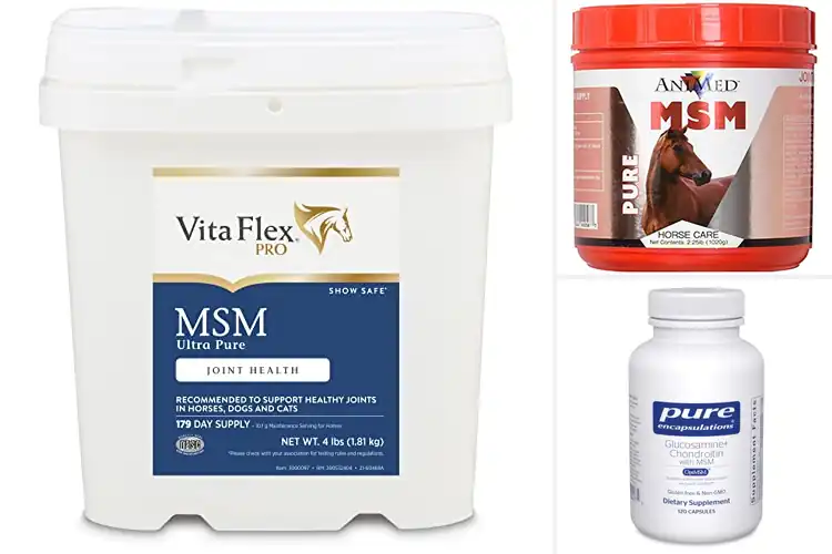 Detailed view of Best Pure MSM Supplements For Joints