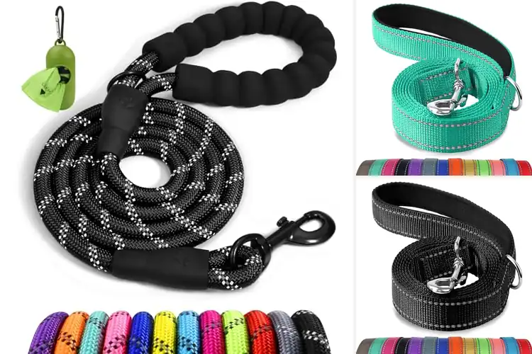 Detailed view of Best Reflective Dog Leashes