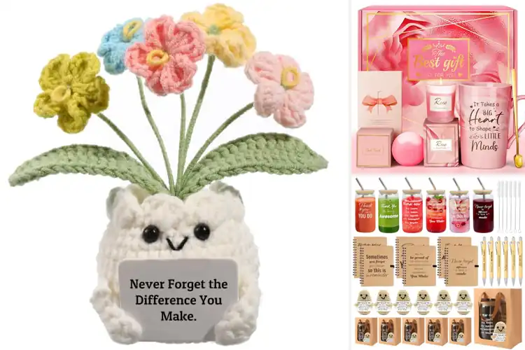 Detailed view of Best Teacher Appreciation Gifts: Simple Picks Teachers Love