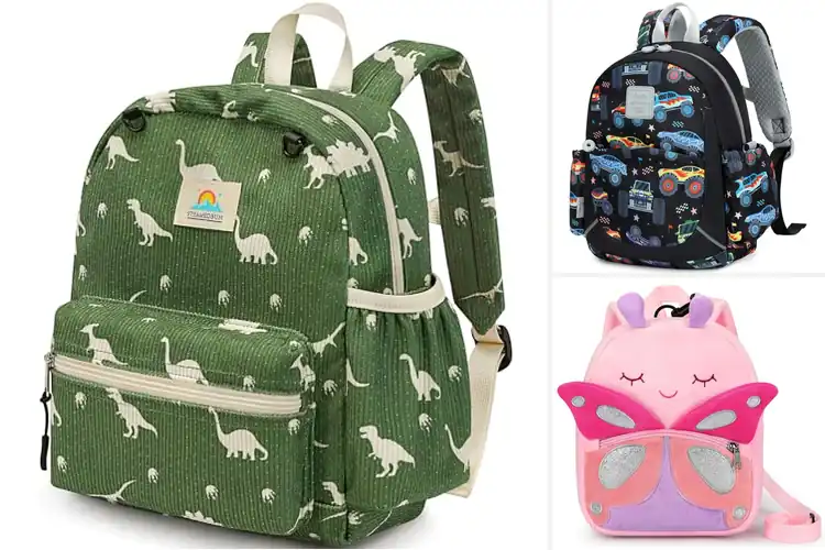 Detailed view of Best Travel Backpacks for Toddlers